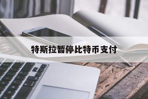 特斯拉暂停比特币支付:(什么时候比特币在中国不合法了)