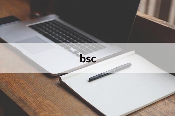 bsc:(币圈bsc是什么意思呢)